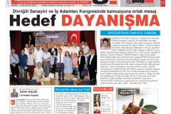 Divrigi 132